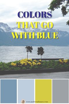 the colors that go with blue and yellow are in this color palette, which is perfect for