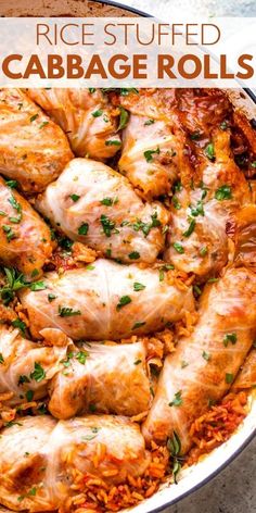 rice stuffed cabbage rolls in a white casserole dish with parsley on top