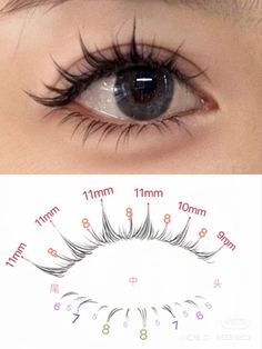 Small Eyes Eyelash Extensions, Spikey Lash Map, Baby Doll Lashes, Eyelashes For Small Eyes, Asian Eyelash Extensions, Dolly Lashes, Girl Maintenance, Lash Maps, Lash Mapping