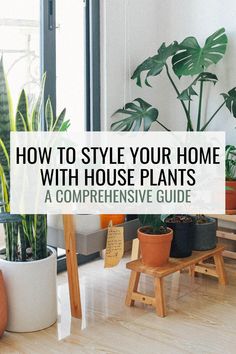 a living room with potted plants on the floor and text overlay that reads how to style your home with house plants