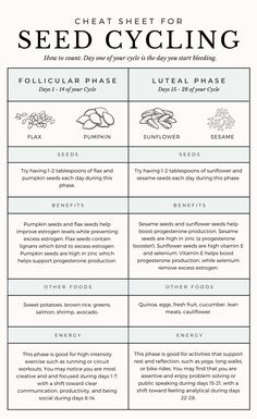 Seed Cycling Cheat Sheet for Hormone Support - Thyme Is Honey Hormone Nutrition, Seed Cycling, Womb Healing, Hormone Support, Healthy Hormones, Menstrual Health, Feminine Health, Happy Hormones, Hormone Balance