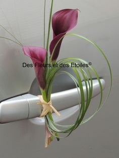 a purple flower is sticking out of the handle of a white door with green stems