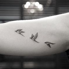 three birds are flying in the air above their head and one is on its arm