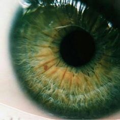 an extreme close up view of the iris of a green eye