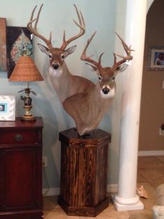 two deer heads on top of a wooden box