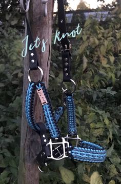 a blue and black roped halter on a wooden post with trees in the background