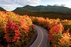 a winding road surrounded by colorful trees and mountains