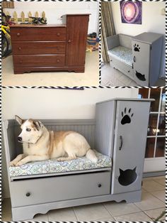 there are three pictures of dogs in this room and one has a crib, the other is a dresser