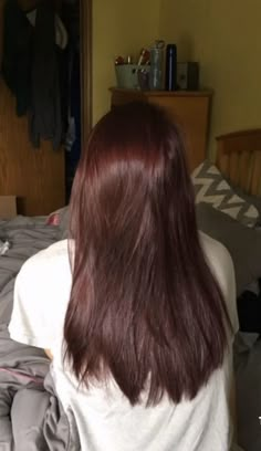 Red Undertone Brunette, Red Over Brown Hair No Bleach, Strawberry Dark Brown Hair, Redish Brunette Hair Color, Brownish Reddish Hair Color, Red Hair Tint On Brown Hair, Dark Brown Hair Warm Red Undertones, Dark Red On Brown Hair, Subtle Red Brown Hair