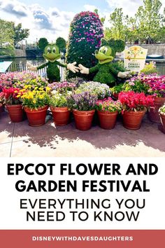 the epcot flower and garden festival is everything you need to know