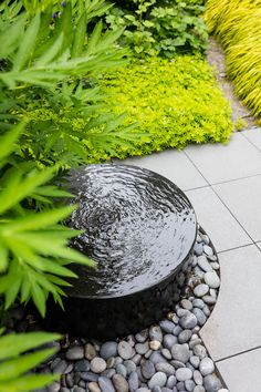 a water feature in the middle of a garden