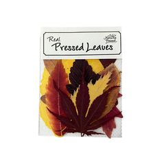 an image of pressed leaves on a white background