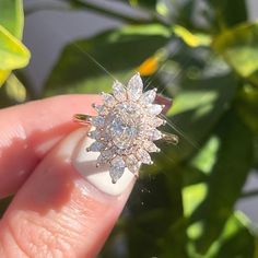 a person holding a ring with diamonds on it's finger in front of a plant