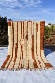 a brown and white striped rug sitting on top of snow covered ground