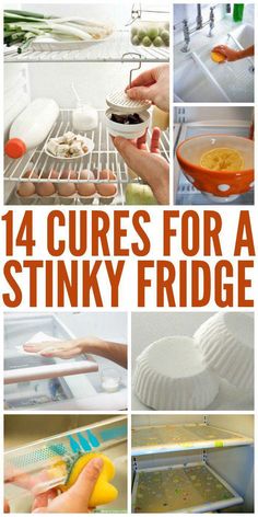 We've covered lots of tips that will change the way you use your fridge, but we forgot one thing... what to do about a stinky fridge! I know we can all relate to how much you're looking forward to eating something and not quite sure what you want! Lets say you open up the fridge looking for a snack when WHAM... that smell hits you right in the face! Then all of the sudden you lose your appetite, or if your like me you close it and see what's Smelly Fridge, Fridge Smells, Clean Baking Pans, Crazy House