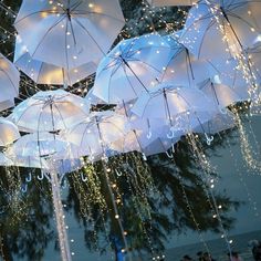 many white umbrellas are hanging from the ceiling in front of some trees at night