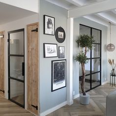 a living room with pictures on the wall and a potted tree in the corner