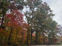 the trees are changing colors in the fall