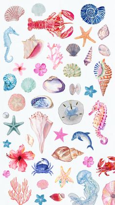 watercolor painting of sea shells and starfish