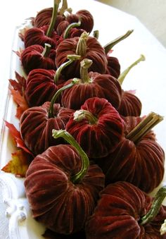 some red gourds are on a white platter with autumn leaves around them