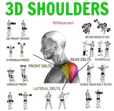 a poster showing the different muscles and their corresponding parts to be used for exercise exercises