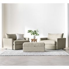 a living room scene with focus on the couches and chair, coffee table and potted plant