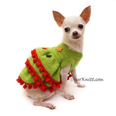 a small dog wearing a green sweater with red pom poms on it's chest