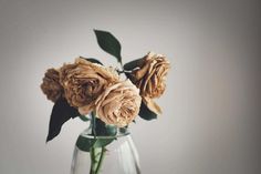 a vase filled with flowers sitting on top of a table