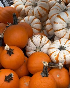 Pumpkin patch Aesthetic Picture, Fall Activities, Autumn Activities, Pumpkin Patch