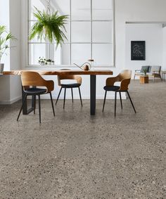 a dining table with four chairs and a potted plant in the middle of it