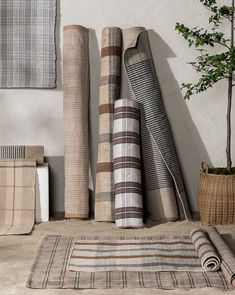 several different rugs are arranged on the floor in front of a white wall and potted plant