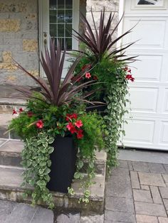 two large planters filled with flowers and greenery sit on the front steps of a house