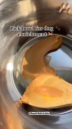 a person holding a wooden spoon over a metal bowl with water in it and the words, take bowl for dog entertainment