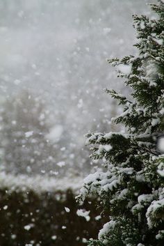 snow is falling on the ground and trees in black and white, as seen through a window