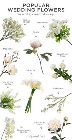 an image of flowers that are labeled in english and french language on a white background