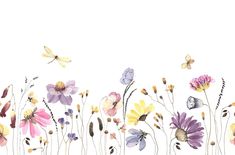 watercolor flowers and dragonflies on a white background