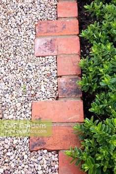 an image of a garden path made out of bricks and gravel with plants in the background