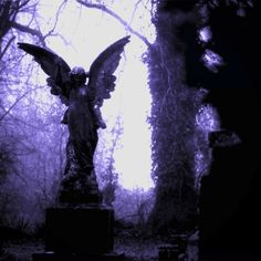 an angel statue in the middle of a cemetery