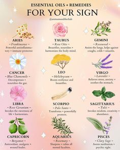 9,806 likes, 69 comments - animamundiherbals on June 29, 2023: "🌿 Herbs and aromatics have been classified according to their solar and lunar qualities in vir..." Sympathetic Nervous System, Culinary Food, Medicinal Herbs Garden, Essential Oils Collection, Medical Herbs, Chakra Alignment, Magic Herbs, Oil Remedies