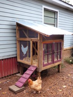 a chicken house with a ramp leading up to it's door and chickens in the coop