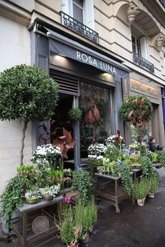 an outside view of a flower shop with potted plants