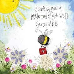 a card with a bee holding a red bag and the words sending you a little ray of get well sunshine