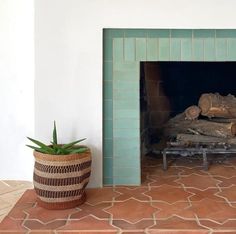 a fireplace with a potted plant next to it