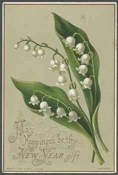 an old postcard with lily of the valley flowers on it's side and words that say, may happiness be thy new year off