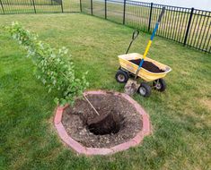 a wheelbarrow is next to a hole in the ground with a tree growing out of it