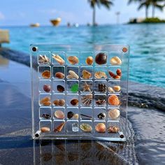 there are many different shells in the container on the table next to the swimming pool