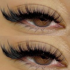 Spikey Cat Eye Lash Extensions Map, Lashes Extensions Volume Cat Eye, C Lash Extensions, Cat Eye D Curl Lash Extensions, Straight Eyelash Extensions, Lash Extensions Styles Wispy Cat Eye, Siren Eyes Lash Extensions, C Curl Cat Eye Lashes, Sultry Lash Extensions