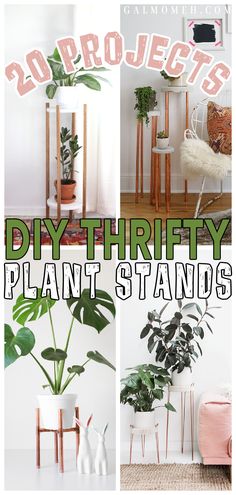 there are many different types of plants in the house and on the floor, with text overlay that says diy thrift plant stands