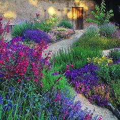 the garden is full of colorful flowers and plants, along with a path leading to an old building