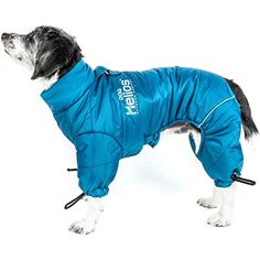 a black and white dog wearing a blue jacket with the words dogs written on it